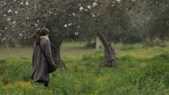 Photo from the movie War Story