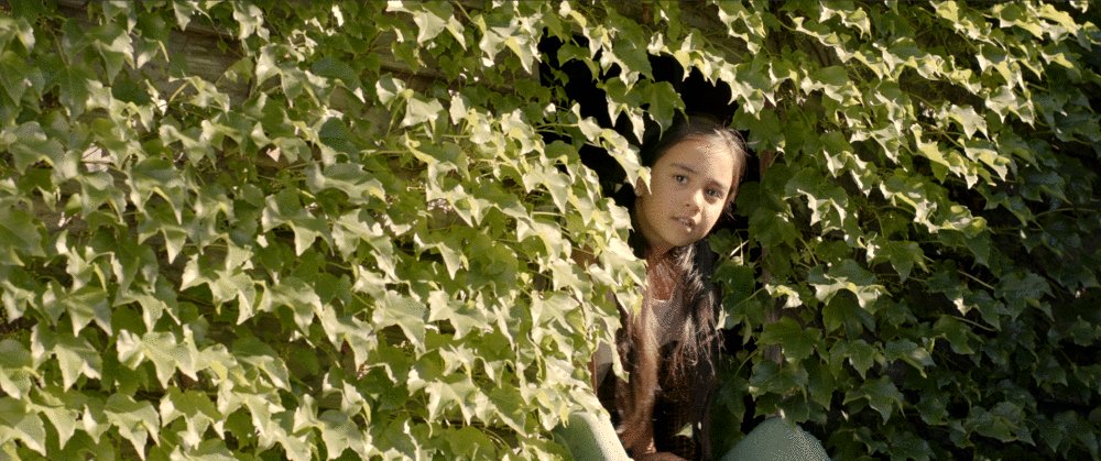 Photo du film Bullied