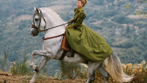 Photo du film La Princesse de Montpensier