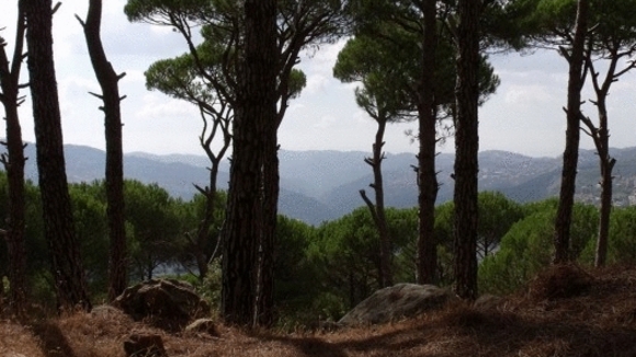 Photo from the movie The Valley of Tears