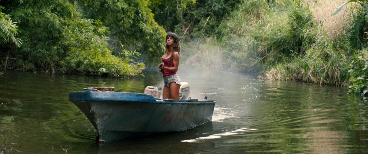 Photo du film Terrible jungle