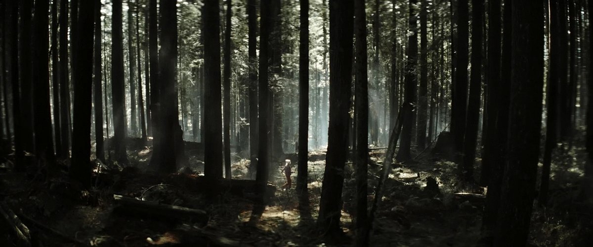 Photo du film L'objet de mon coeur