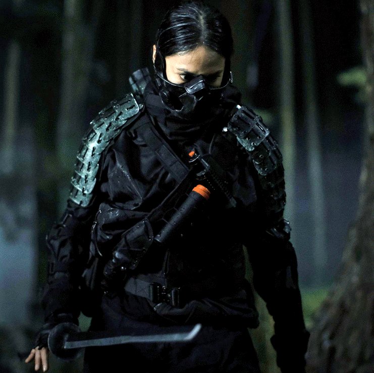 Photo du film The Shadow Strays