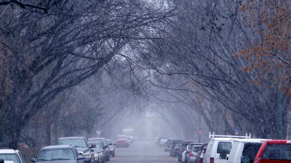 Photo from the movie Ally Was Screaming