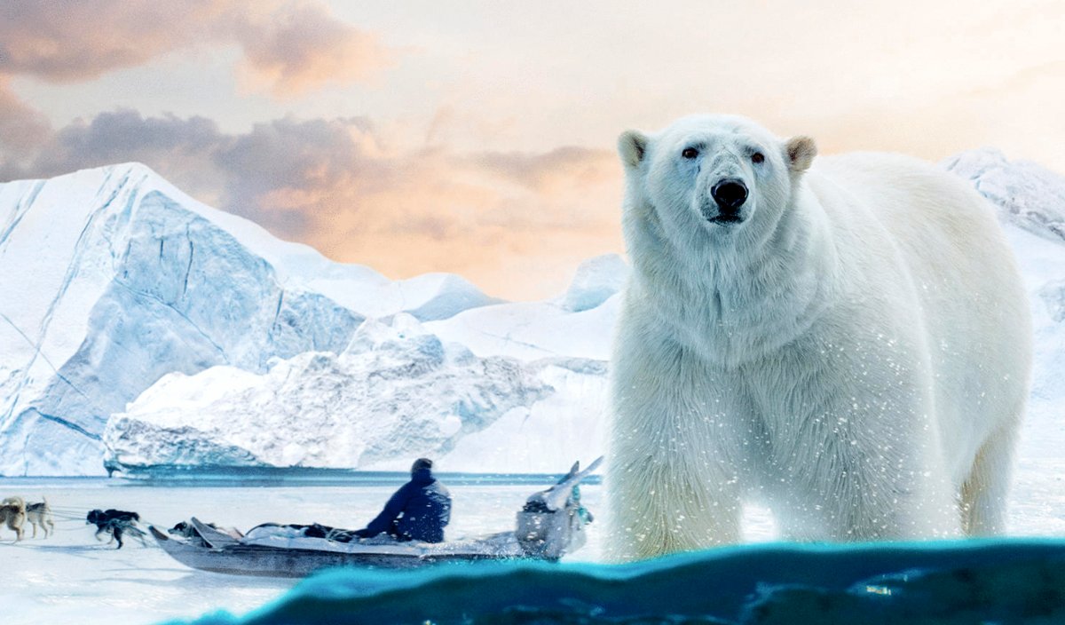 Photo du film Arctic: Our Frozen Planet