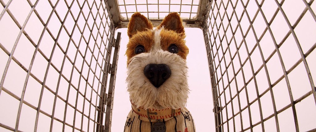 Photo from the movie Isle of Dogs