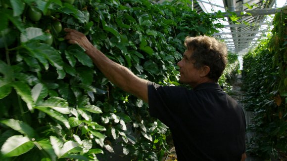 Photo from the movie Tomorrow