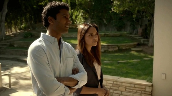 Photo du film Brahmin Bulls