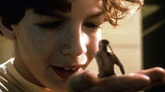 Photo du film L'Indien du placard