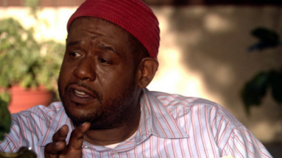 Photo du film Ripple Effect