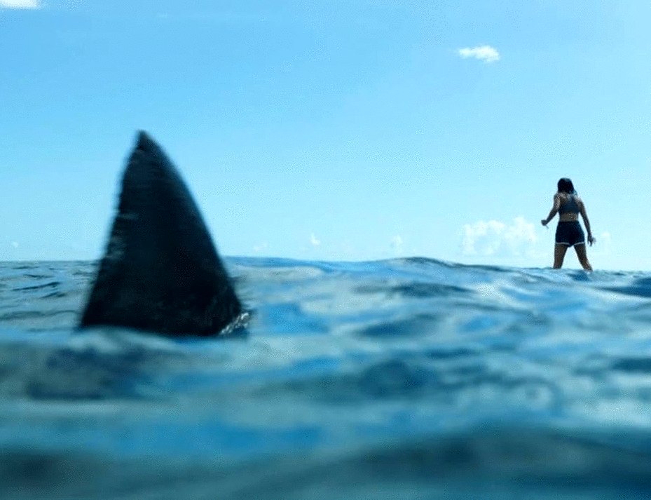 Photo du film Something in the Water