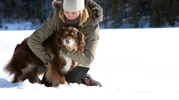 Photo du film Voyez comme ils dansent