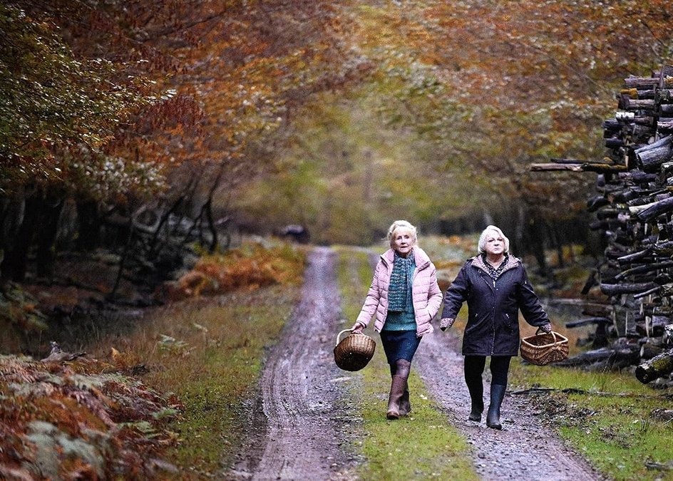 Photo from the movie When Fall Is Coming