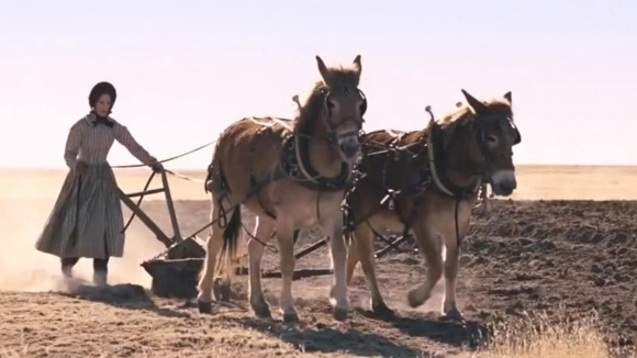 Photo du film The Homesman v.f.