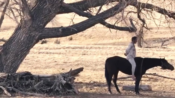 Photo du film The Homesman v.f.