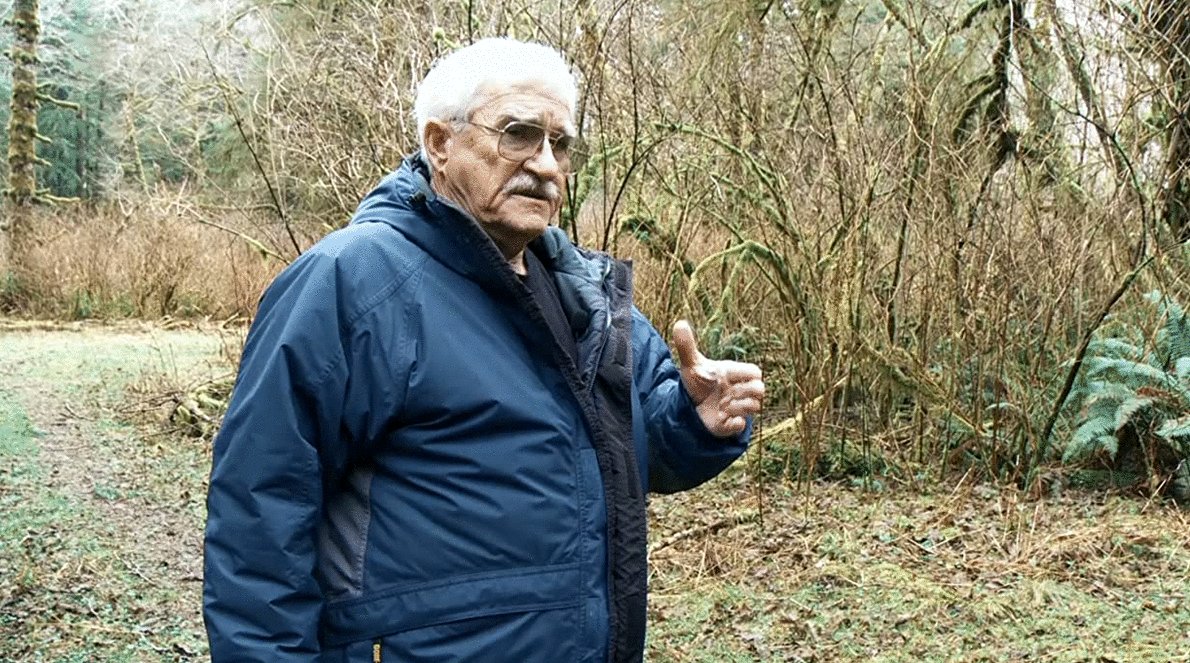 Photo du film Old-Growth Murder