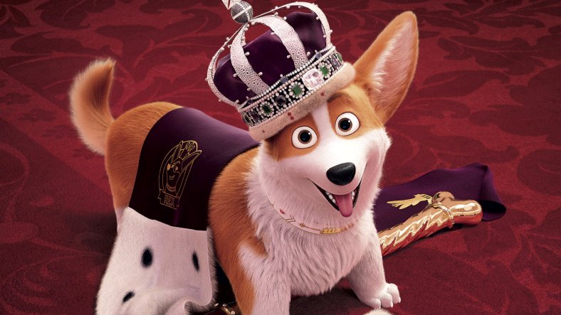 Photo du film The Queen's Corgi