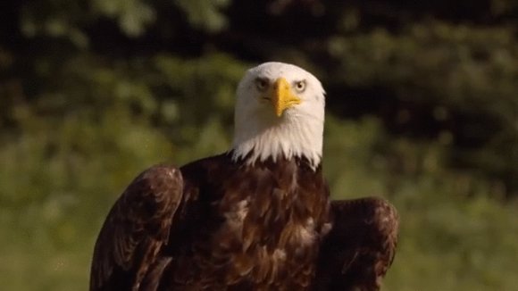 Photo from the movie We Love You, You Bastard