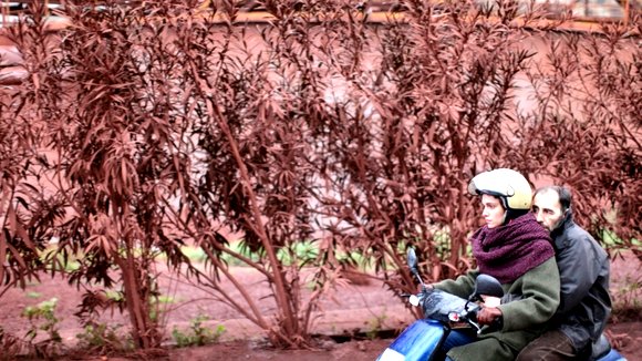 Photo from the movie Attenberg