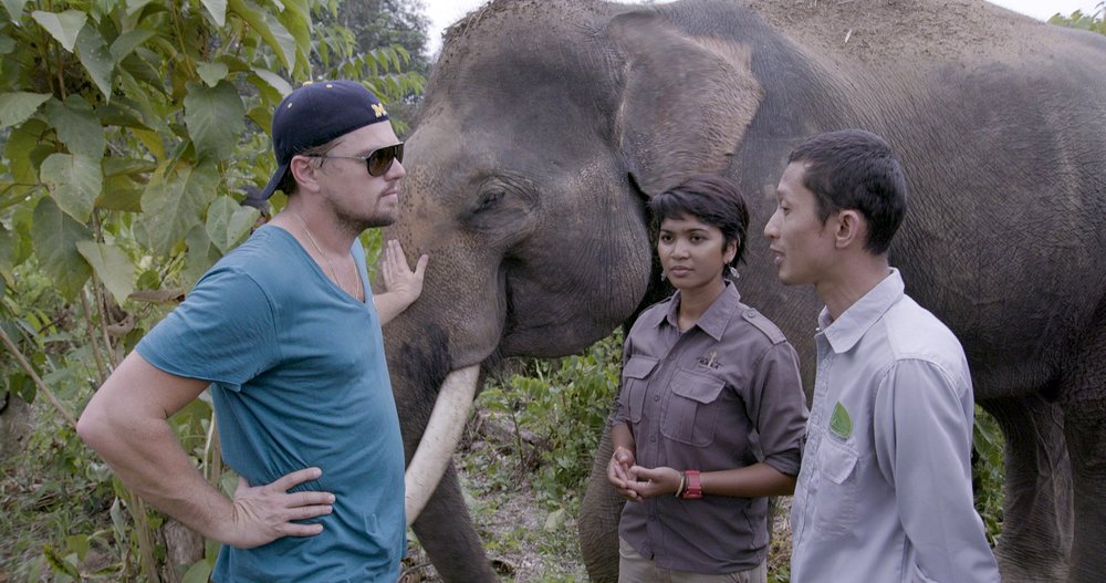 Photo du film Before the Flood