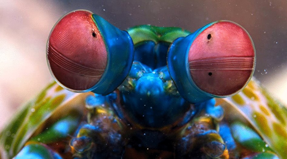 Photo du film Tiny World