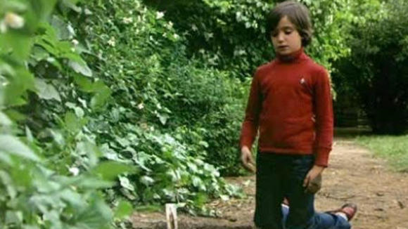Photo du film Cria cuervos