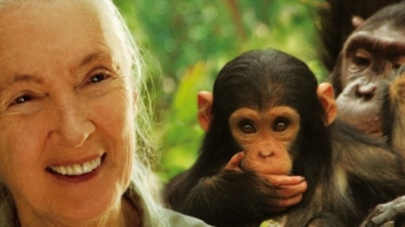 Photo du film Jane's Journey