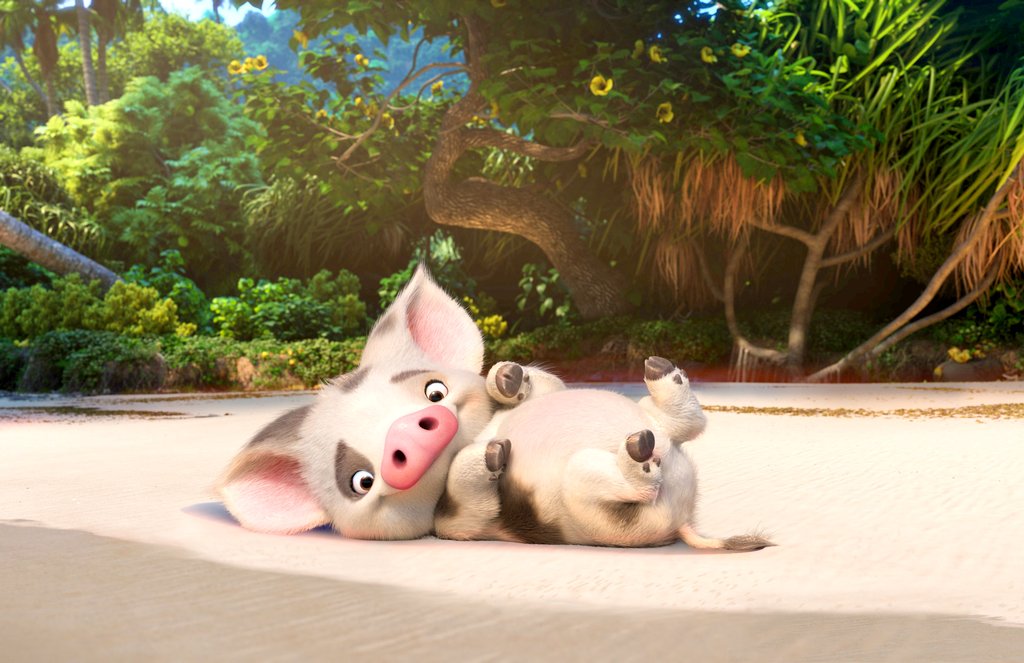 Photo du film Moana v.f.