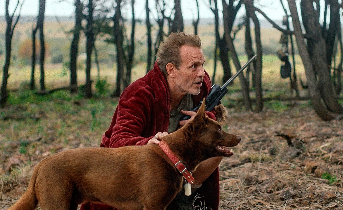 Photo from the movie Rippy