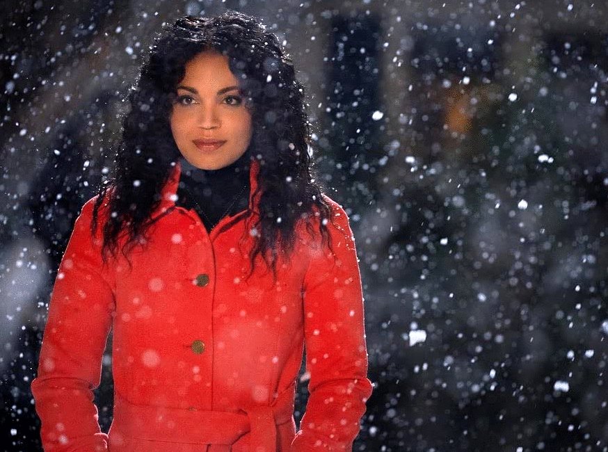 Photo du film The Noel Diary