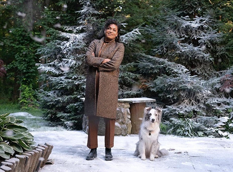 Photo du film The Noel Diary