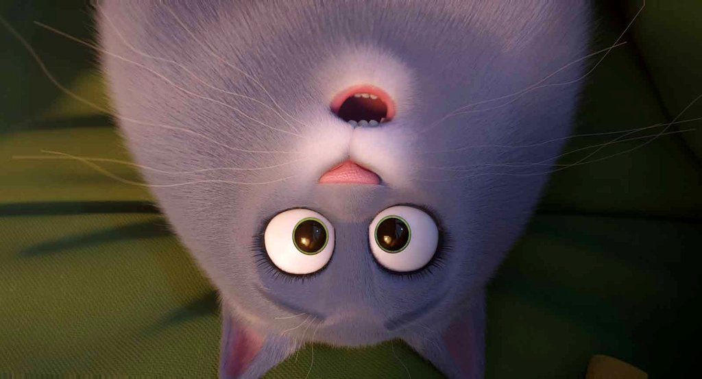 Photo du film Comme des bêtes 2