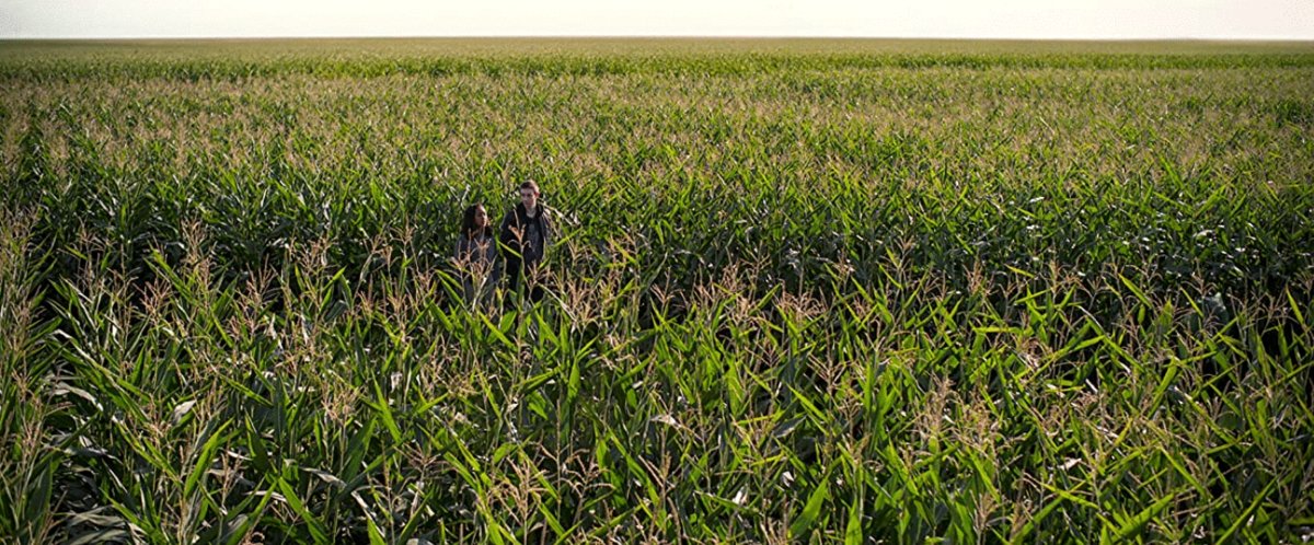 Photo from the movie There's Someone Inside Your House