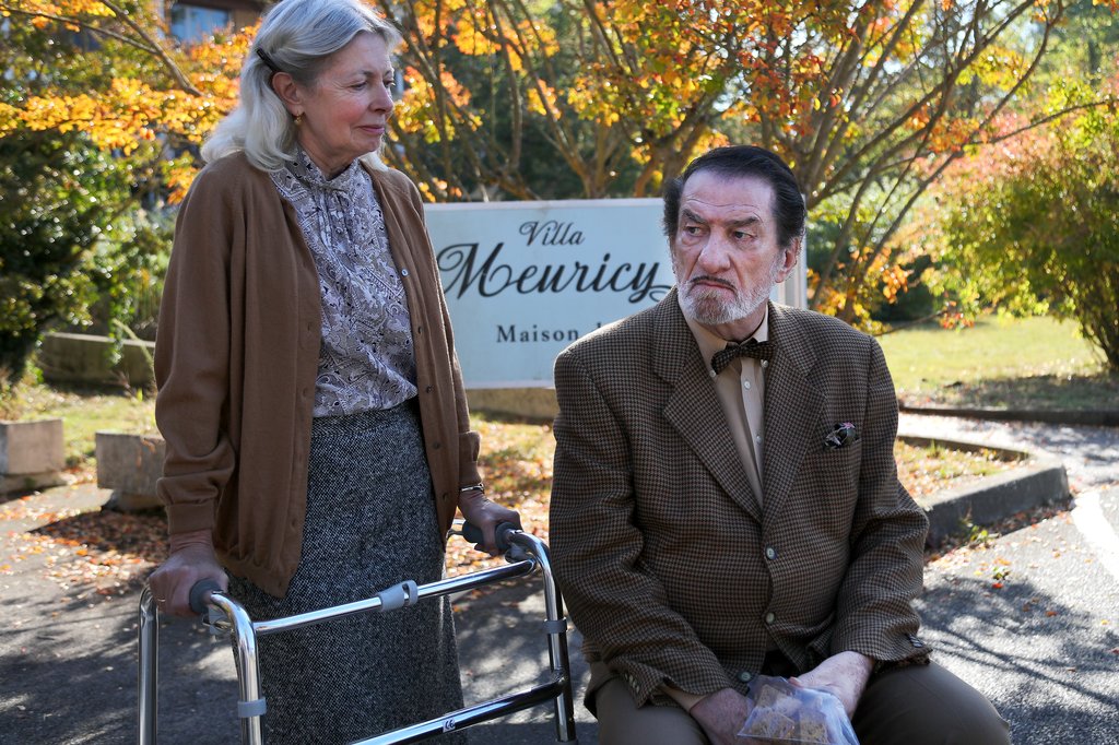 Photo from the movie Tricky Old Dogs