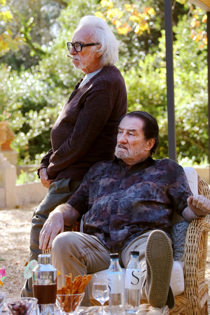 Photo from the movie Tricky Old Dogs