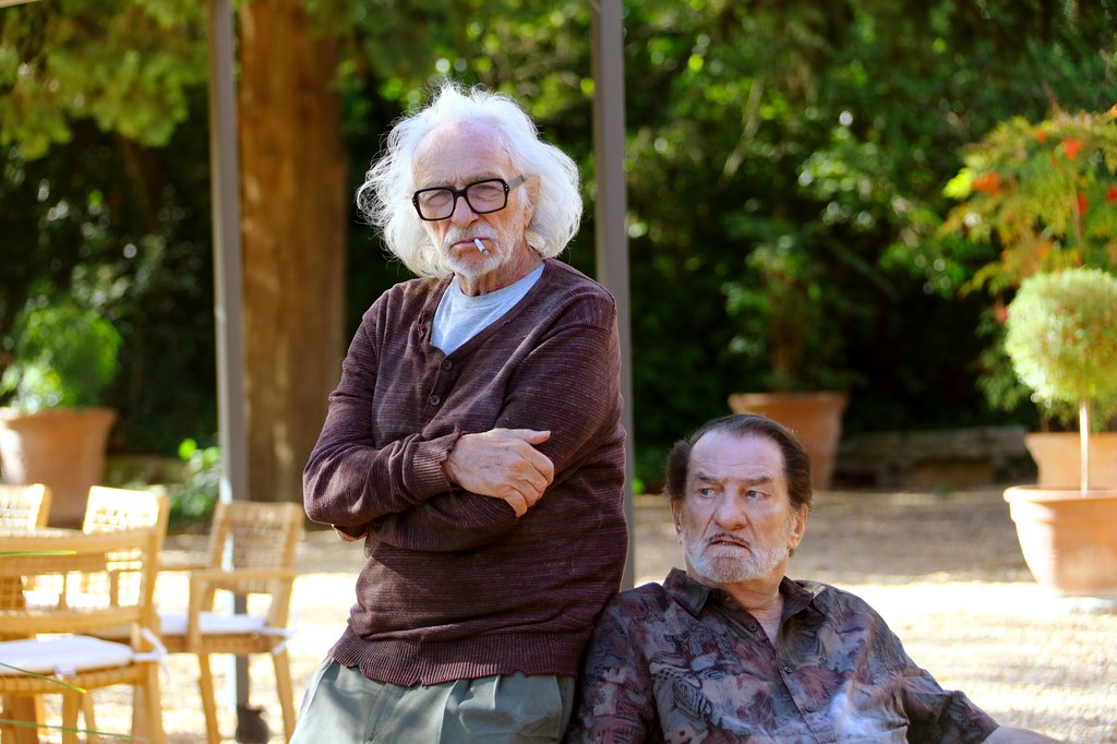 Photo from the movie Tricky Old Dogs