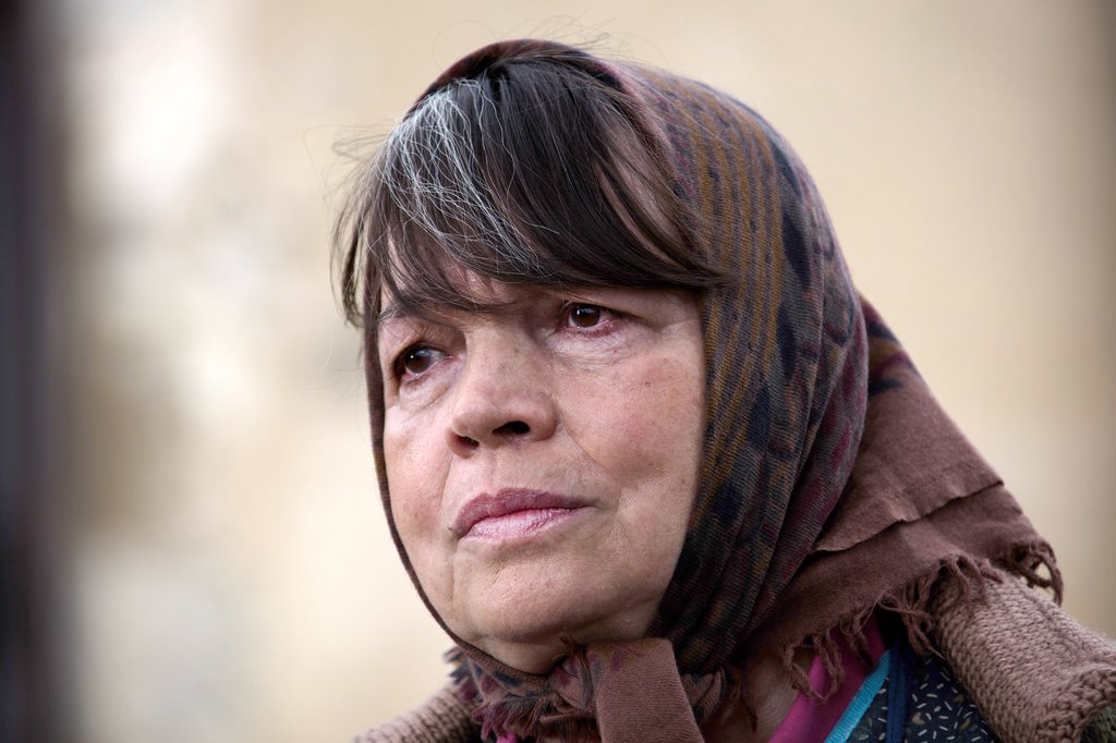 Photo from the movie Tricky Old Dogs