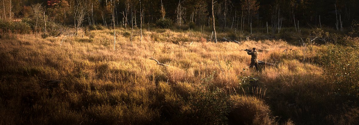 Photo du film La Switch