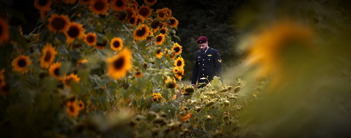 Photo du film La Switch