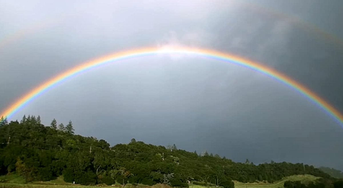 Photo du film A Perfect Vintage