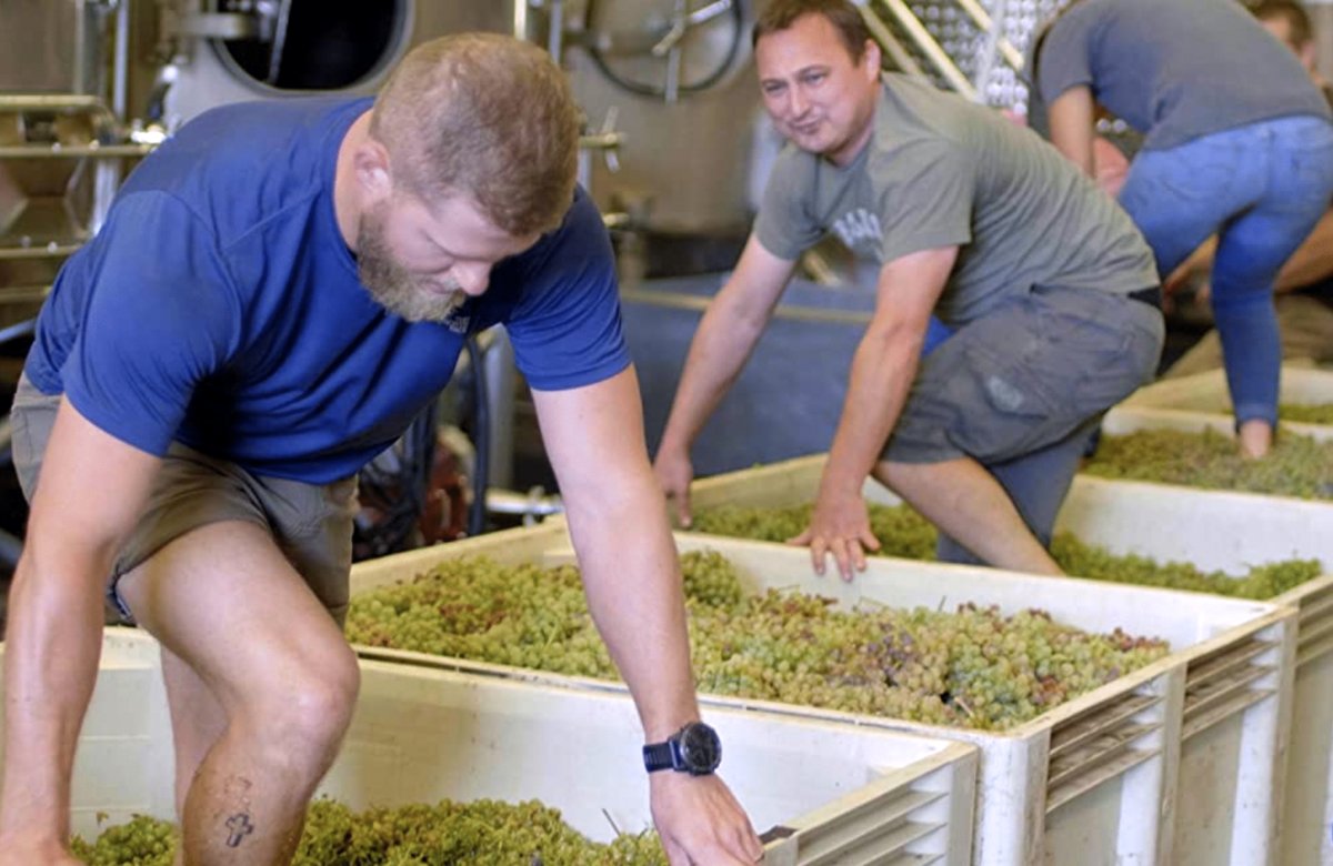 Photo du film A Perfect Vintage