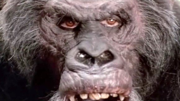 Photo du film Greystoke: The Legend of Tarzan, Lord of the Apes