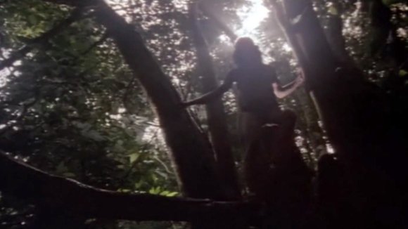 Photo du film Greystoke: The Legend of Tarzan, Lord of the Apes