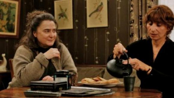 Photo from the movie The Hedgehog