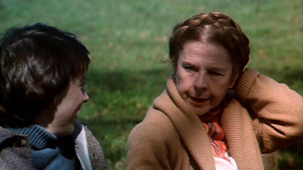 Photo du film Harold et Maude