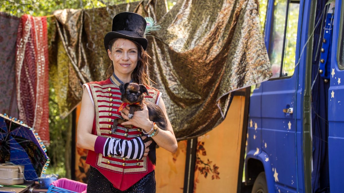 Photo du film Lassie - la route de l'aventure