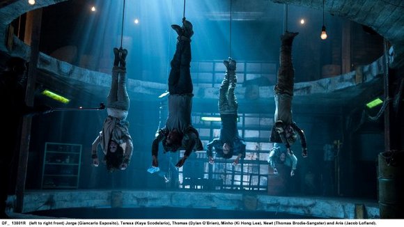 Photo du film L'Épreuve: la terre brûlée