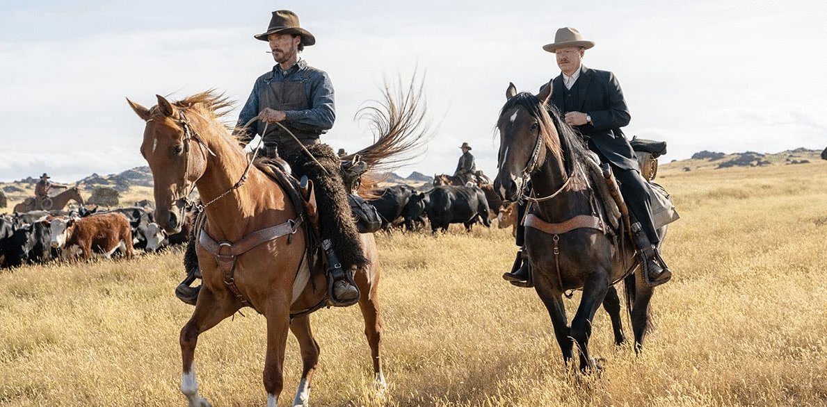 Photo du film The Power of the Dog