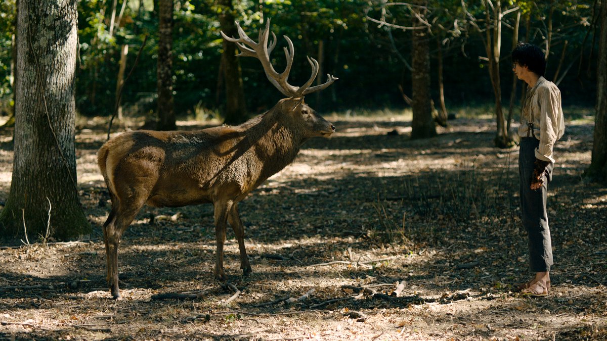 Photo du film Coeurs vaillants
