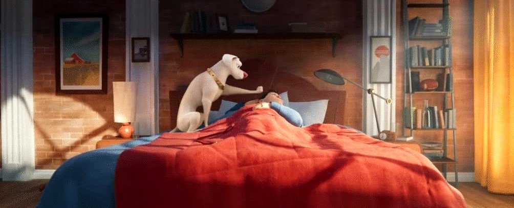 Photo from the movie DC League of Super-Pets